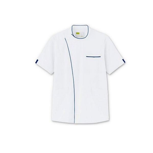 �˻Ҳ��ݡ�WH12015���ۥ磻�ȥ֥롼���ۥ磻�����WHISEL��