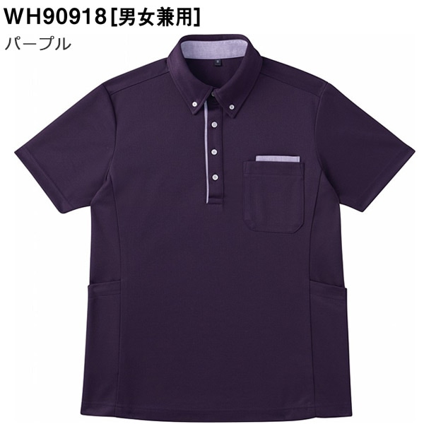 Ⱦµ�£ĥݥ�����ġ�WH90918���ѡ��ץ롡�ۥ磻�����WHISEL��