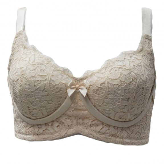 ܥ롡˼Ʒѥ֥饸㡼꥿꡼ࡡSLL