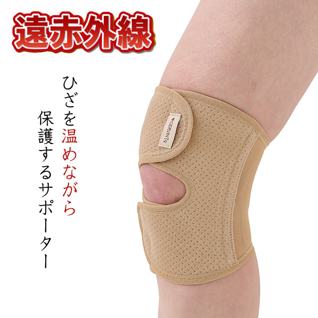 ��᡼����2�Ĥޤǲ�ǽ��ƣ�ܼ� ���ֳ����Ҥ����ݡ��������١����� M-L/LL ����������ɨ���ݡ����� �ݲ� ���ݡ����� ��ǥ����� ���ֳ������ݡ����� ���� ɨ �������ޡ� ɨ΢��å��� ɨ�ݸ�ݡ�������