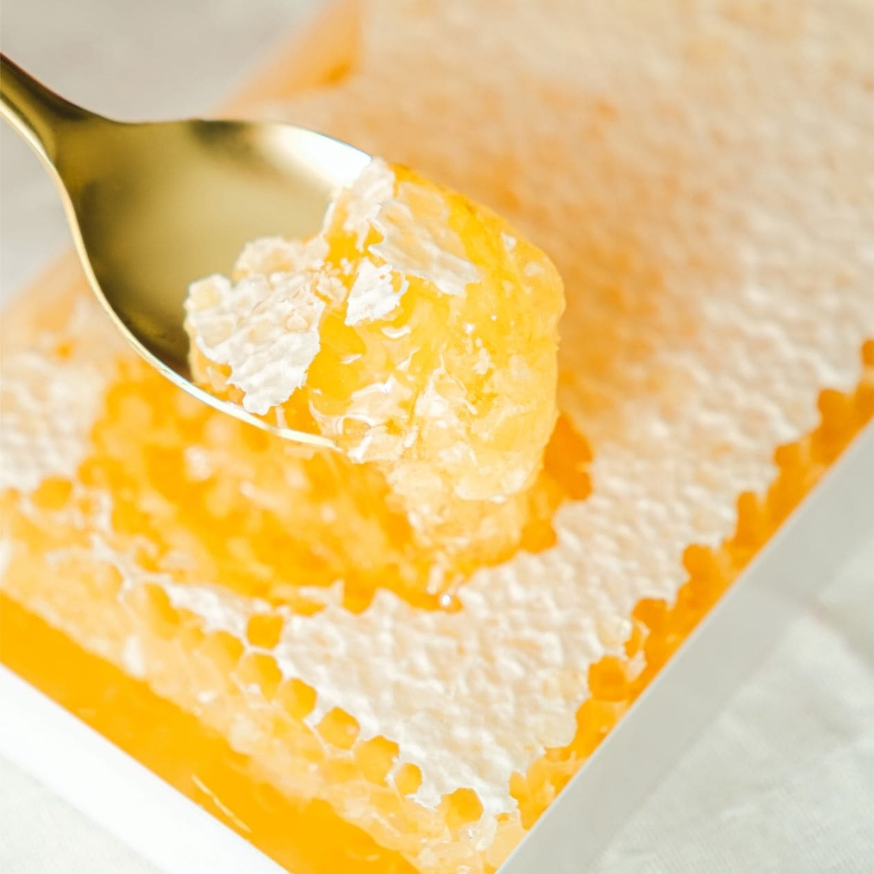 【杉養蜂園】ハンガリー産 巣房蜜(コムハニー)