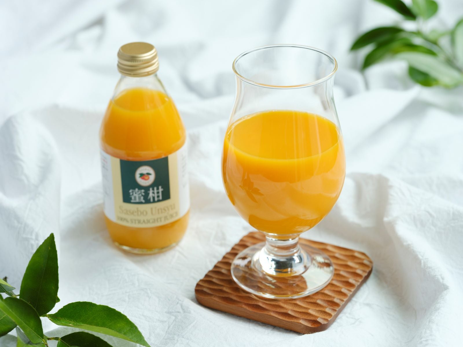 味っ子ストレートジュース 250ml