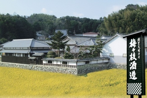 【焼酎】梅ヶ枝 樽直詰 麦 900ml 35度 商品画像