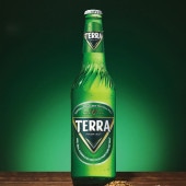 [眞露] JINRO テラビール 瓶ビール 正規品 / 500ml×1本 TERRA 眞露ビール 韓国ビール