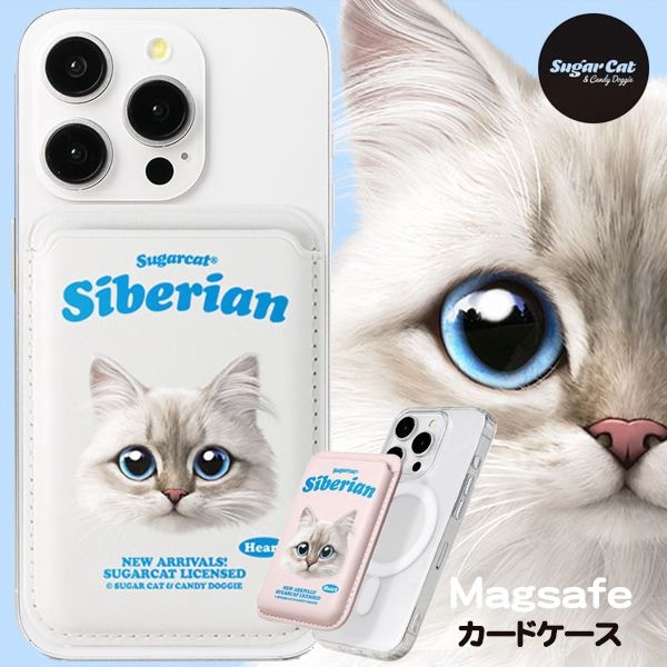 【しろくまさま専用】CNBLUE MAGSAFE カードケース、フォトホルダー MagSafe対応 iPhone クマ カードホルダー 磁気 外付け カードケース