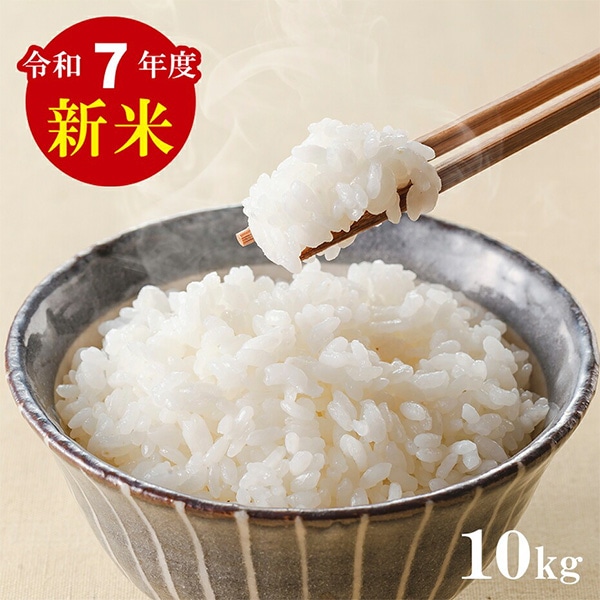 [日本産] お米 令和7年産 新米 / 10kg 白米 日本米 お米 新米 業務用 白米 精米 お米 #送料無料