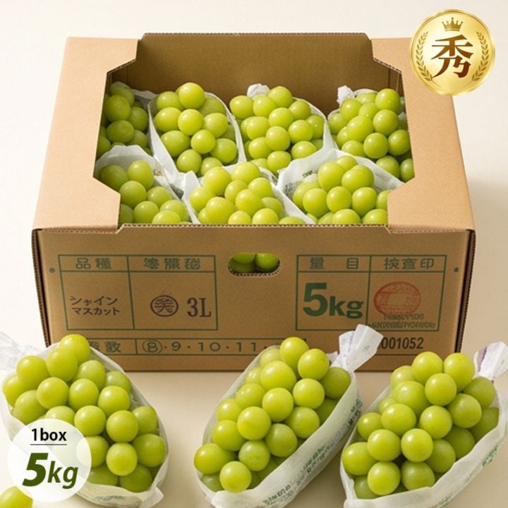 山梨県産 シャインマスカット JAフルーツ 大粒 秀品 箱売り / BOX(7房-9房入) 山梨県 産地直仕入れ 安心クール便 高糖度 皮ごと食べれる シャイン マスカット  (冷蔵) 