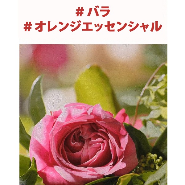 呂] リョ 含光毛ダメージケア コンディショナー 550ml / 含光毛損傷