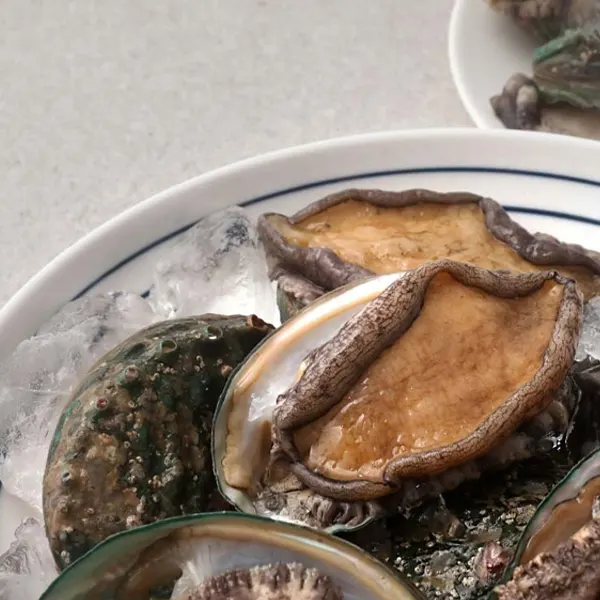 韓国産] アワビ あわび 天然 韓国ワンド 鮑 / 約1kg Lサイズ - Mサイズ