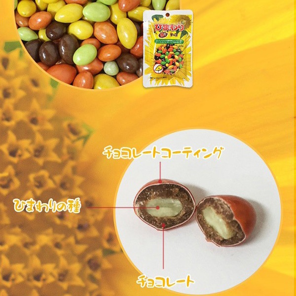 ヘテ] ひまわり種チョコ / 40g チョコレット 韓国お菓子 ひまわり