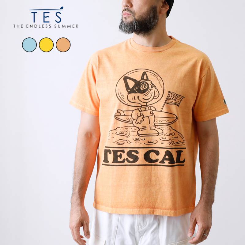 【TES】TES VINTAGE GRAPHIC PIGMENT TEE グラフィックピグメント Tシャツ