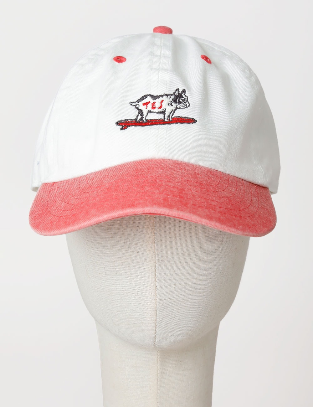 TES｜HUNTINGTON PIGMENT VINTAGE CAP