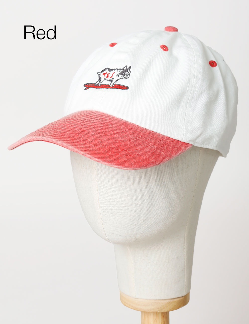 TES｜HUNTINGTON PIGMENT VINTAGE CAP