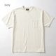 S x Ivory