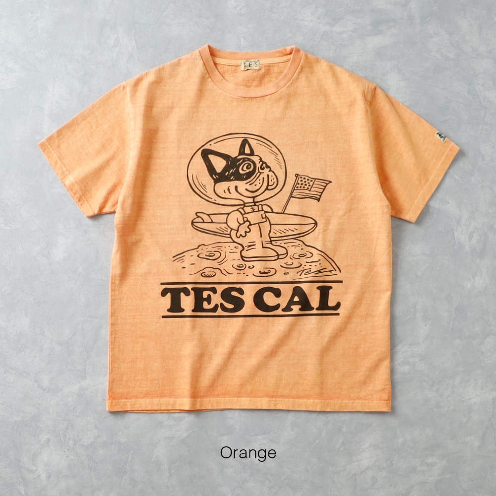 【TES】TES VINTAGE GRAPHIC PIGMENT TEE グラフィックピグメント Tシャツ