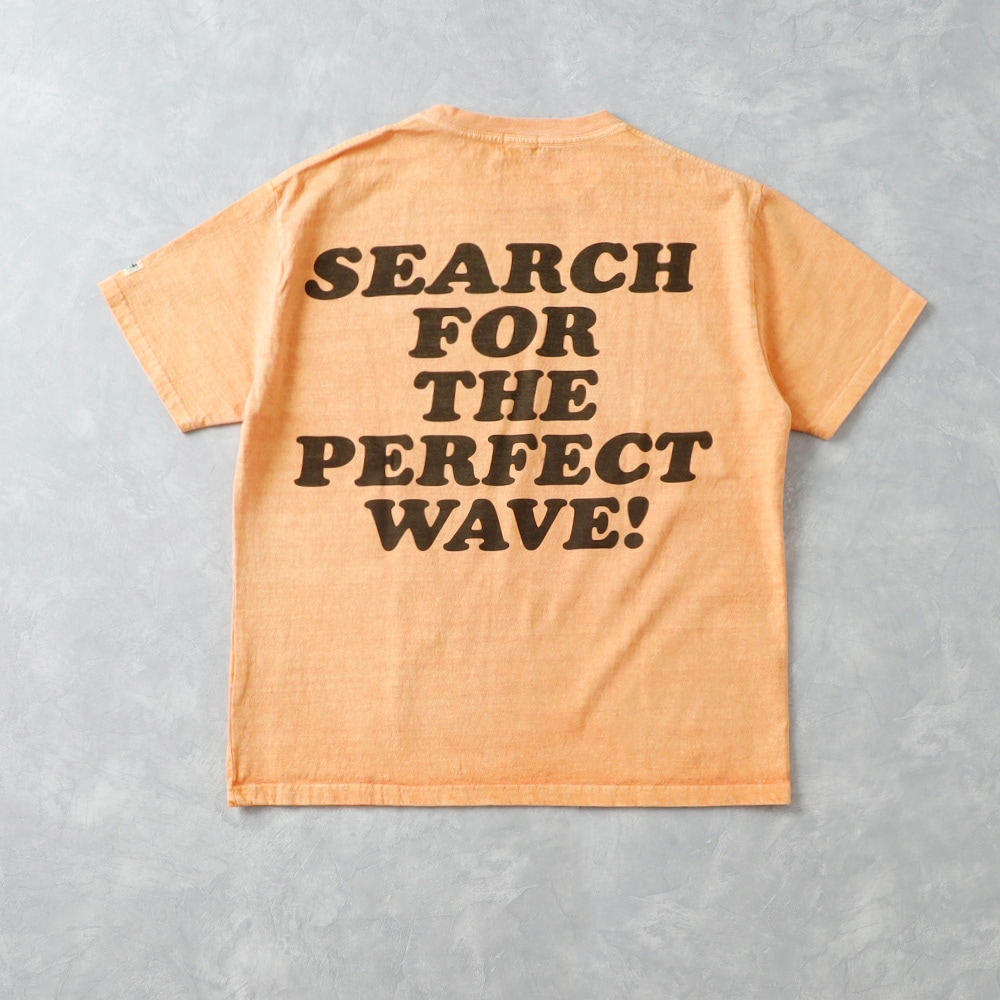 【TES】TES VINTAGE GRAPHIC PIGMENT TEE グラフィックピグメント Tシャツ