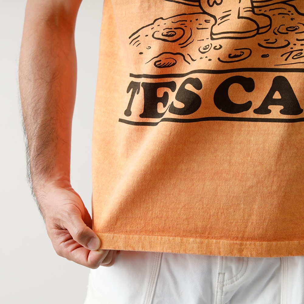 【TES】TES VINTAGE GRAPHIC PIGMENT TEE グラフィックピグメント Tシャツ