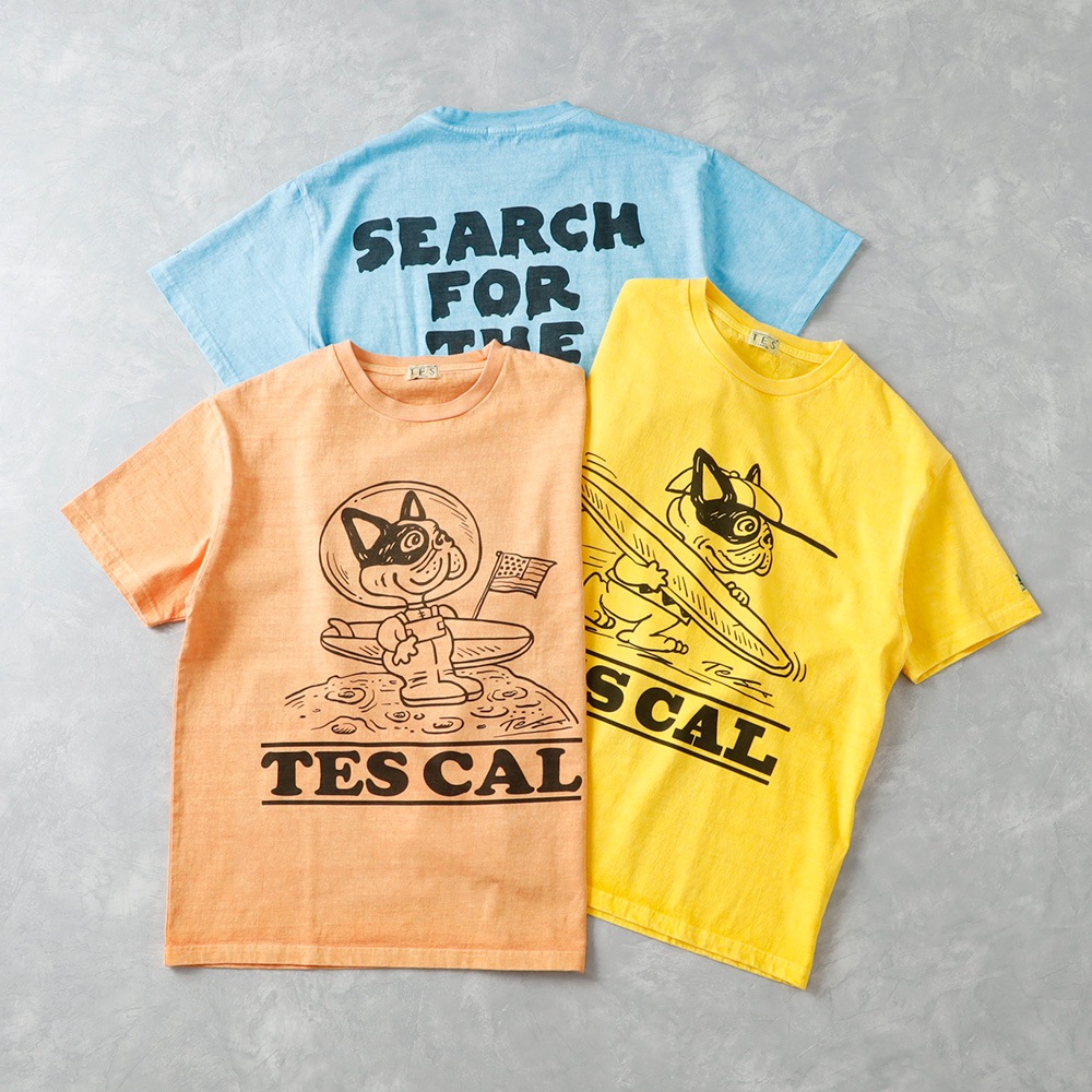 【TES】TES VINTAGE GRAPHIC PIGMENT TEE グラフィックピグメント Tシャツ