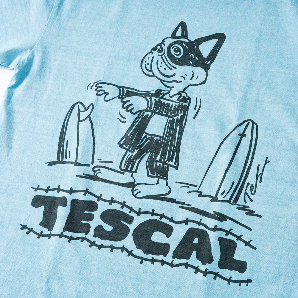 【TES】TES VINTAGE GRAPHIC PIGMENT TEE グラフィックピグメント Tシャツ