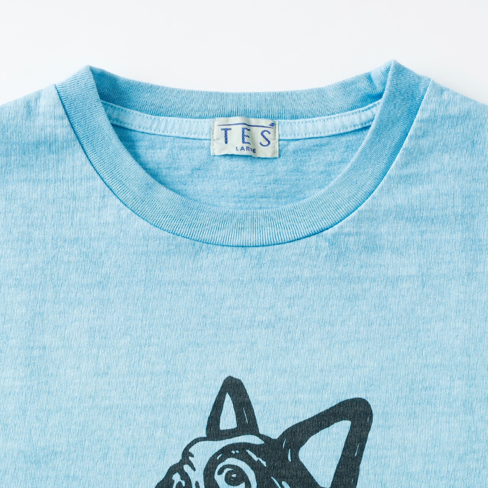 【TES】TES VINTAGE GRAPHIC PIGMENT TEE グラフィックピグメント Tシャツ