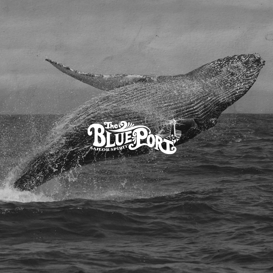 【BLUE PORT】BIG TAIL L/S