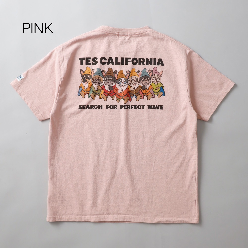 TES（テス）SEVENS BUHI TEE Tシャツ
