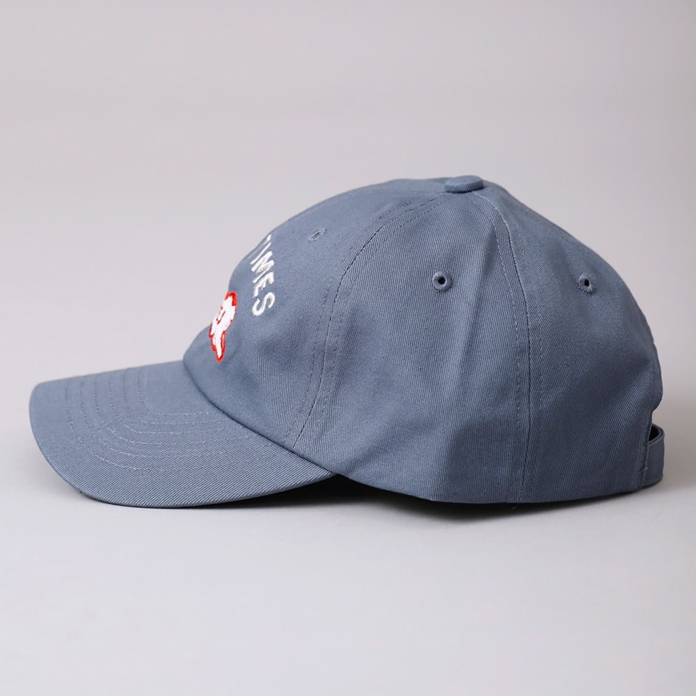 TES(テス)TES GOOD TIMES LOW CAP 刺繍キャップ