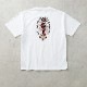 M x White