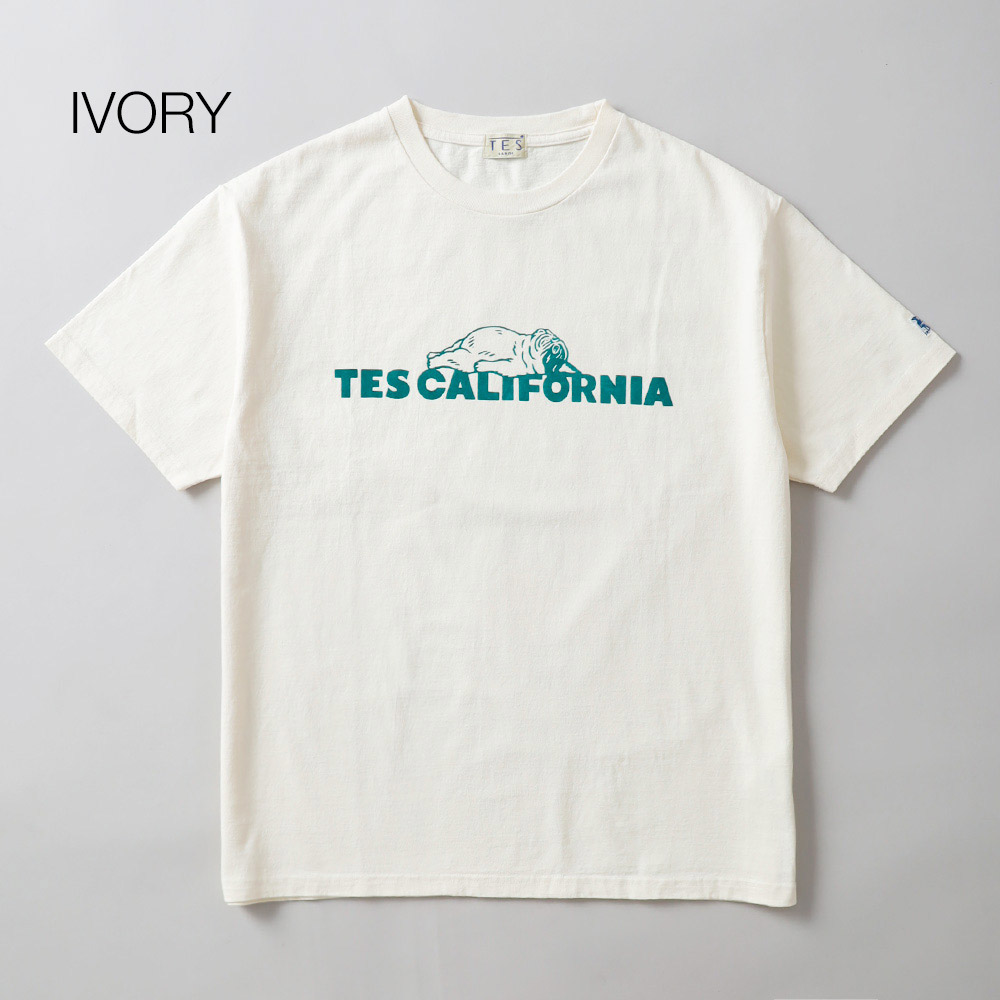 TES（テス）SAME OLD TEE Tシャツ