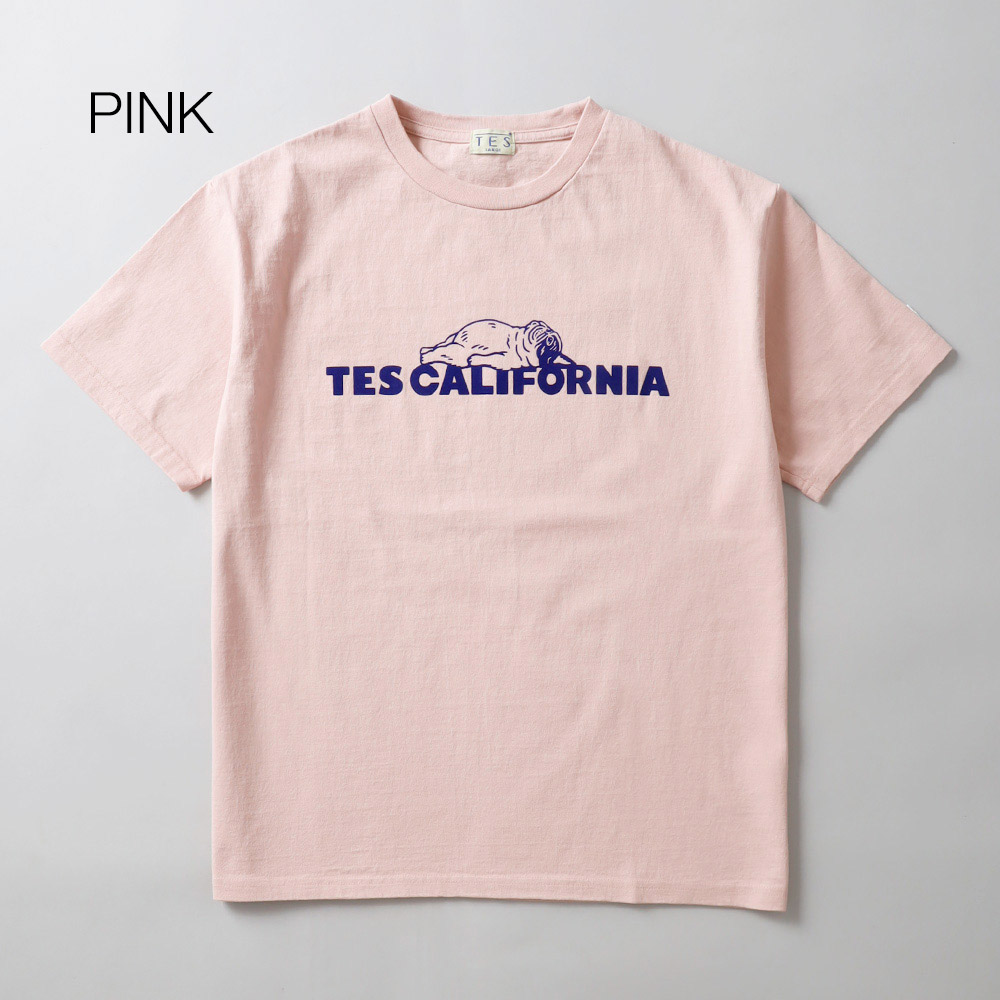 TES（テス）SAME OLD TEE Tシャツ