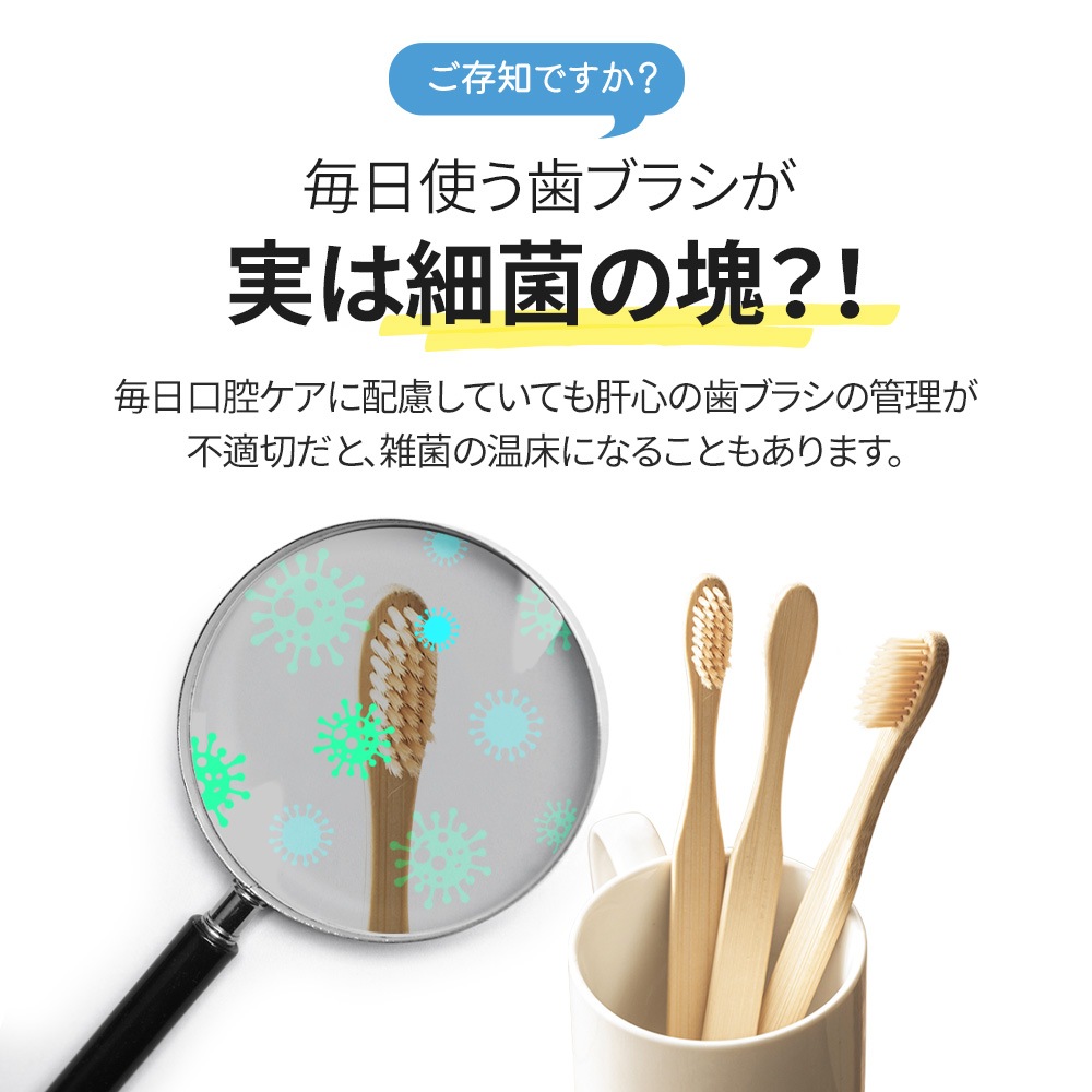 ル*ロ様 P.Bacterial 子株付き！ 288130 BD Difco TM ラクトバシラスMRSブロス ベクトン