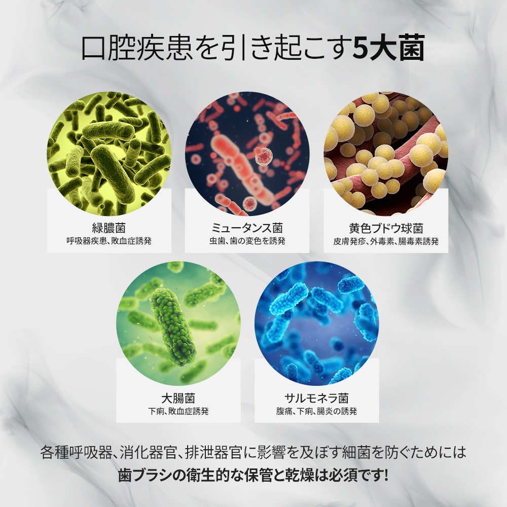 換気ファン付きUV-LED壁掛け形歯ブラシ除菌器 PA-TS5000