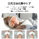 2ʳ+Ǯޥޥ FE-4619