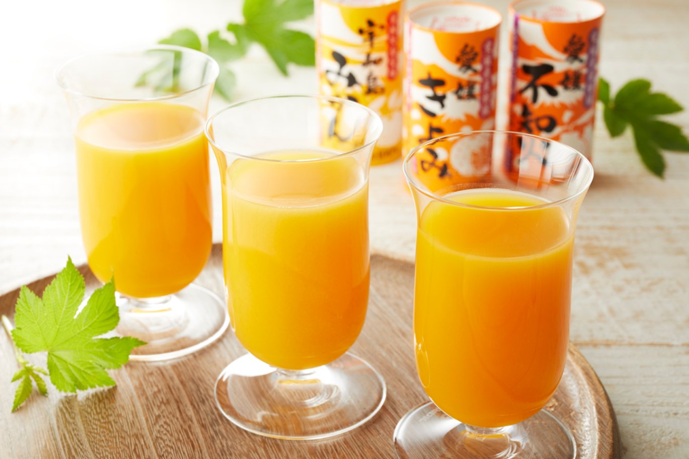 愛媛県産みかんジュース2種詰め合わせ 720ml 12本セット 送料込