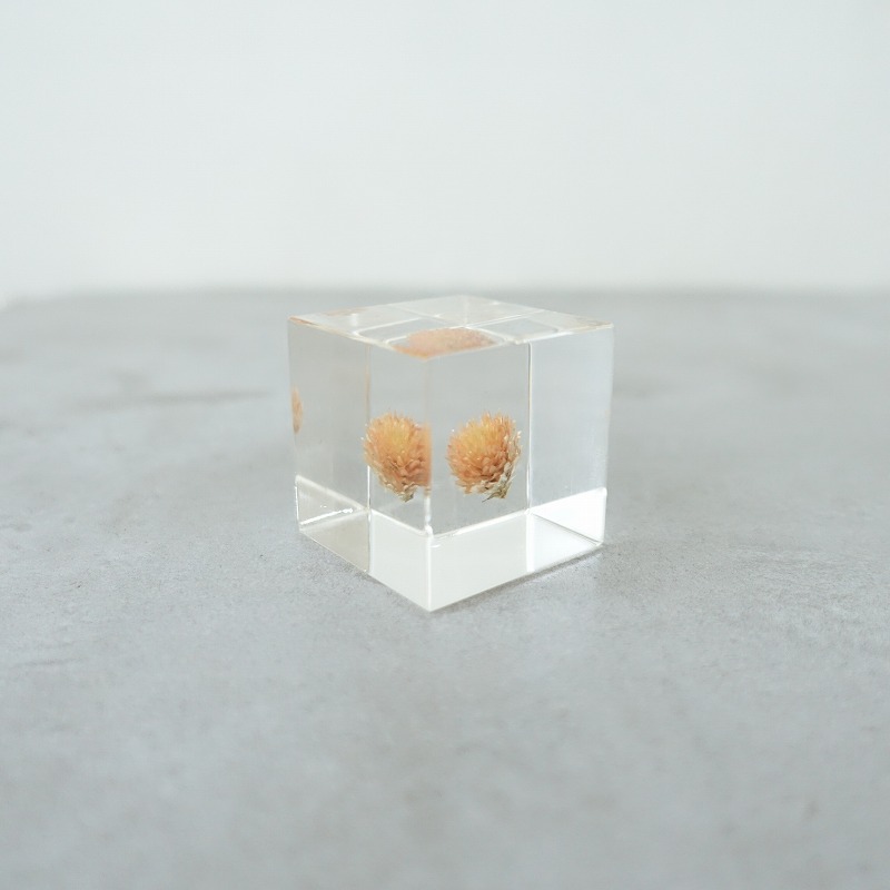 新品　キムホノ氏　フリーカップ　源4 新品 キムホノ氏 フリーカップ 源4 新品 キムホノ氏 フリー