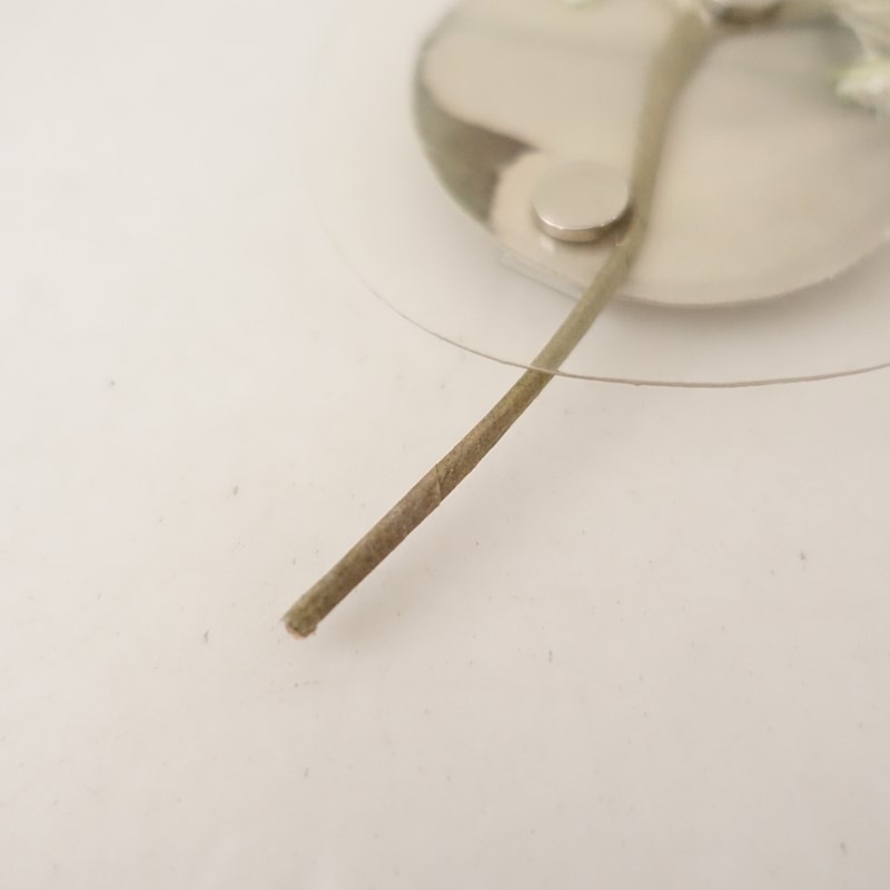 ������/���1.9���ۥ�ե롼�� la fleur ���֤Υ֥�����   (ac30-2602-175)��92D62��