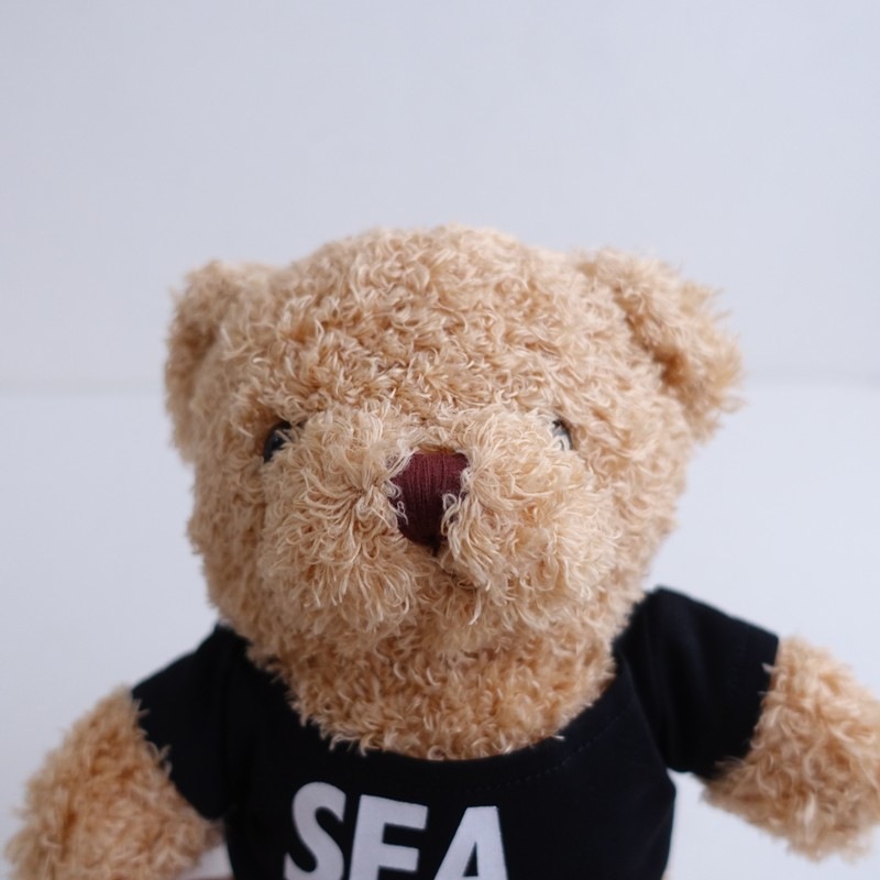 ��̤���ѡۥ�������󥷡� WIND AND SEA SEA TEDDY BEAR �ƥǥ��٥�   (ac30-2604-337)��40F62��