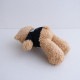 ��̤���ѡۥ�������󥷡� WIND AND SEA SEA TEDDY BEAR �ƥǥ��٥�   (ac30-2604-337)��40F62��