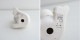 ���̲��۵����/����ӥ� ARABIA �ե������ �ե�����   (wa23-2606-9)��80G62��
