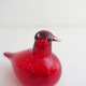 ���̲������4.9��/���å��� iittala �С��ɥХ��ȥȥ��å� ���������� �����٥꡼   (wa23-2608-6)��10I62��