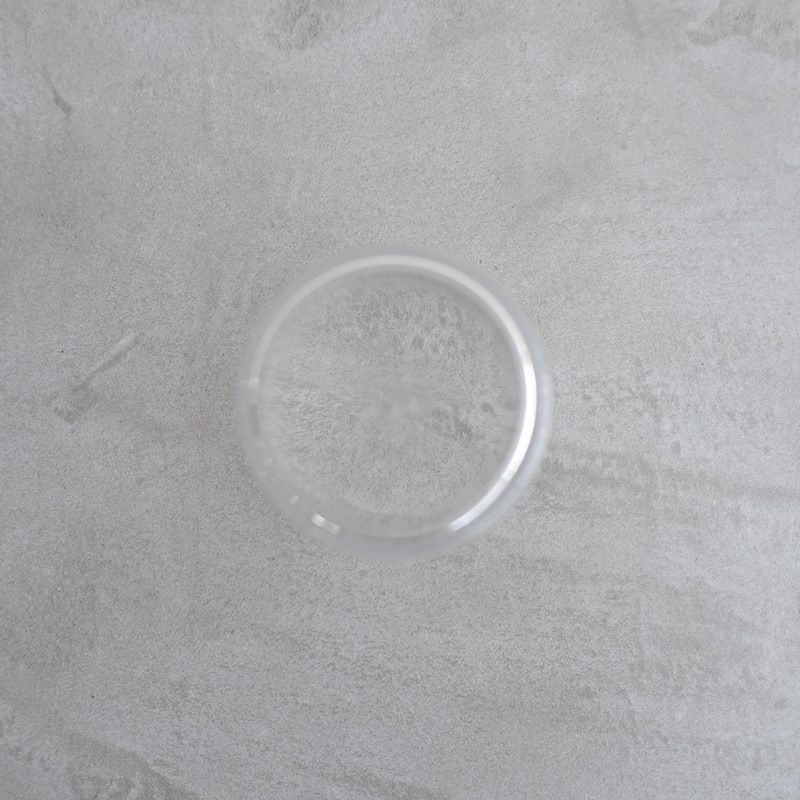 ���̲��ۥ����ե������100��ǯ��ǰ/���å��� iittala KARTIO �ޥ����֥�������֥顼 ���ꥢ   (wa23-2608-1)��10I62��