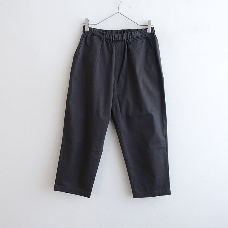�ߥ���������� mizuiro-ind �ѥ��  2 (25-2605-740)��42F62��