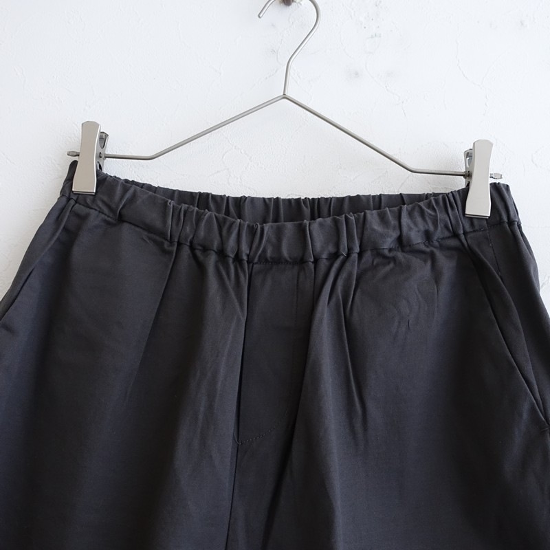 �ߥ���������� mizuiro-ind �ѥ��  2 (25-2605-740)��42F62��
