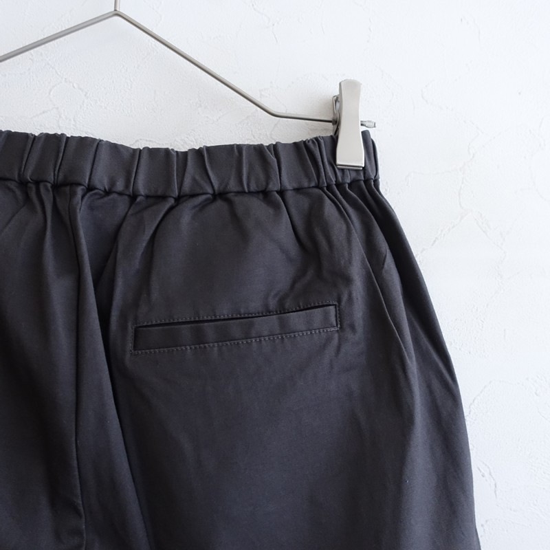 �ߥ���������� mizuiro-ind �ѥ��  2 (25-2605-740)��42F62��