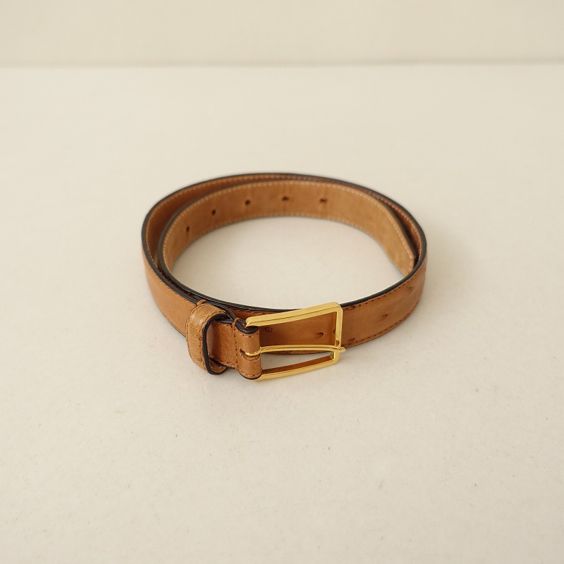 ���å��� Le Yucca��s ostrich belt �������ȥ�å��٥��   (ac30-2509-58)��70J52��