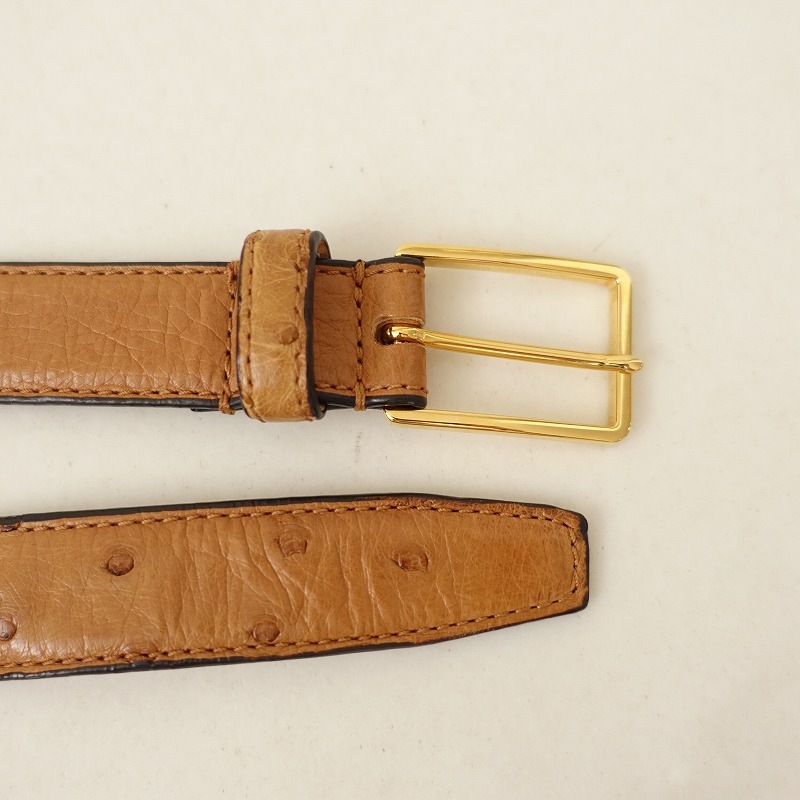 ���å��� Le Yucca��s ostrich belt �������ȥ�å��٥��   (ac30-2509-58)��70J52��