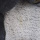 �������������� Cloth&Cross ���åȥ�΢�ӥ��åץ��åץա��ǥåɥѡ�����   (33-2602-239)��01C62��