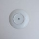 ��̤���ѡ�   ��ë�� ���������� ���� 15cm   (wa23-2605-36)��11F62��