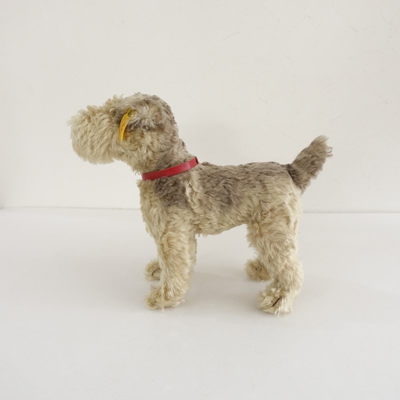 ���奿���� Steiff ����ʥ������̤������   (ac30-2603-220)��81E62��