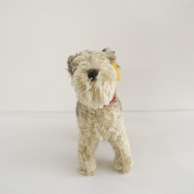 ���奿���� Steiff ����ʥ������̤������   (ac30-2603-220)��81E62��